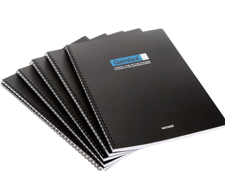 国产 DS4000/4001 A4渡边螺旋本