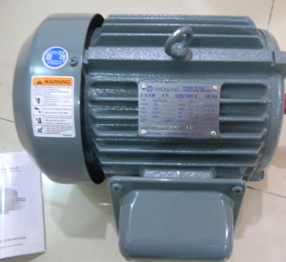 HYOSUNG 电机 TE-F 5.5 KW  60HZ  220/380 V