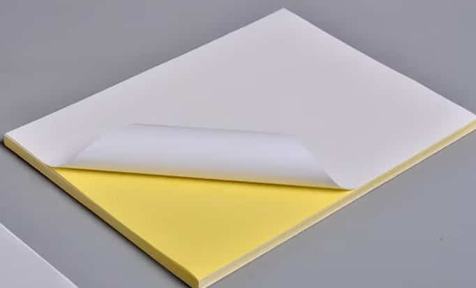 国产 A4 白果树A4不干胶纸 哑光 100张/包