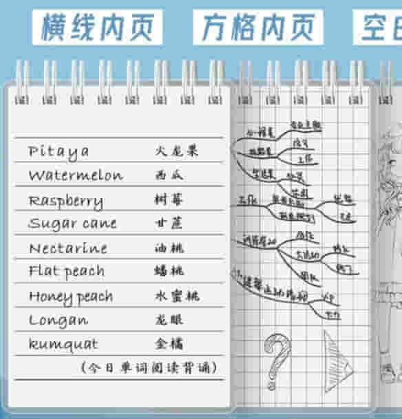 晨光(M&G)文具口袋线圈本A7笔记本本子 高颜值小记事本 学生考研错题